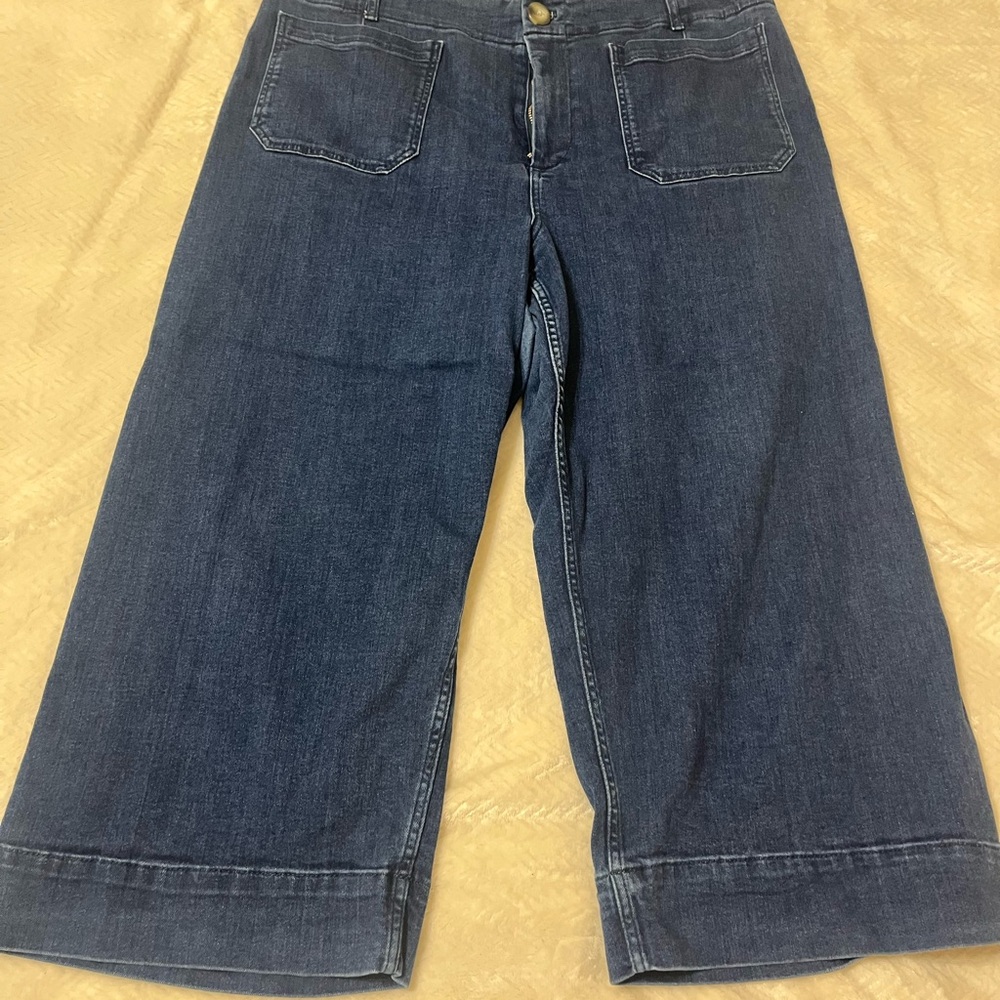 Anthropologie Dark Blue Wide Leg Cropped Collette by Maeve
